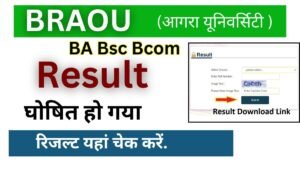 BRAOU Result 2026 