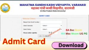 MGKVP Admit Card 2026