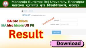Brij University Result 2026