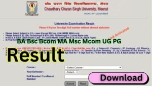 CCS University Result 2026